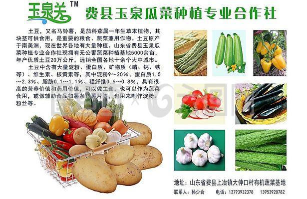 蔬菜產(chǎn)品宣傳彩頁圖片