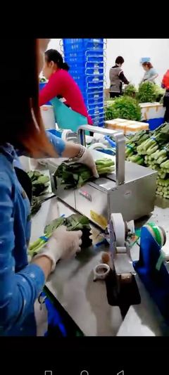 智能農(nóng)業(yè)革命 一臺(tái)設(shè)備如何讓這家工廠的蔬菜銷量翻番