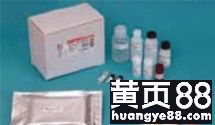 探索生命科學邊界 武漢市古泰生物技術有限責任公司主營試劑、抗體與耗材業務解析